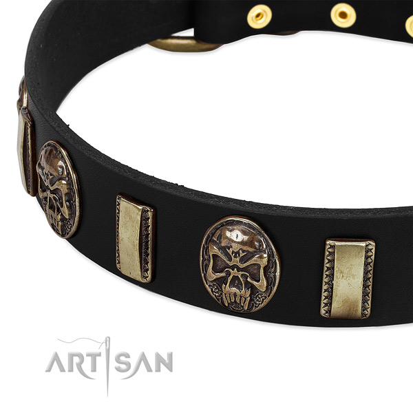 Strong traditional buckle on leather dog collar for your doggie