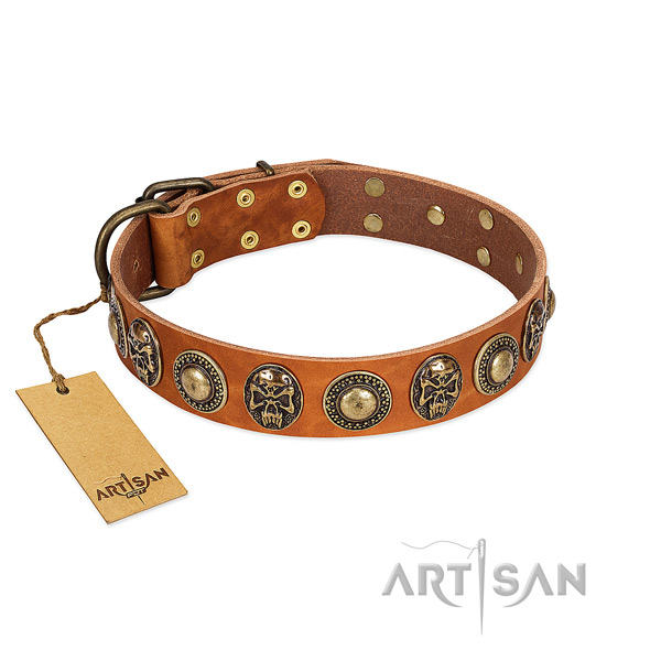 Adjustable genuine leather dog collar for stylish walking your pet