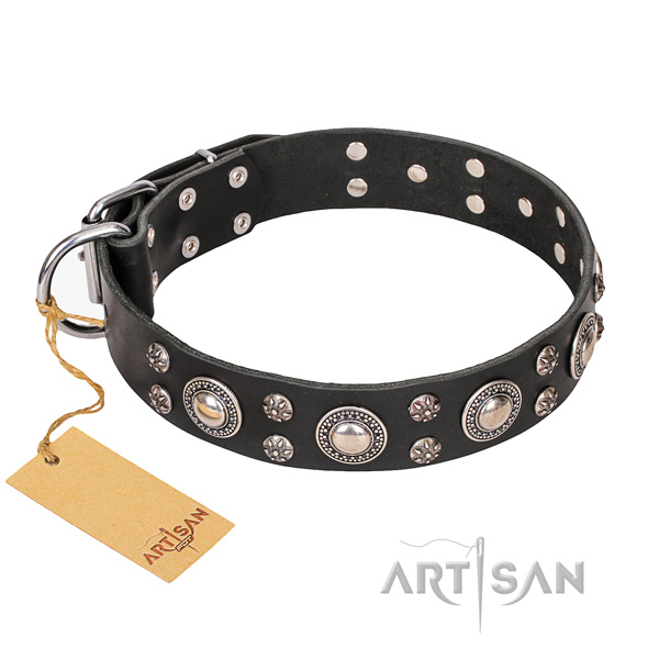Walking dog collar of strong leather with adornments