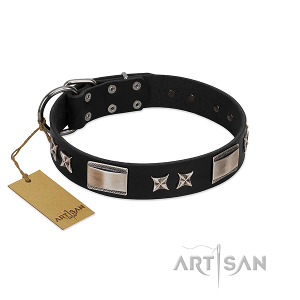 Decorated dog collar of full grain natural leather