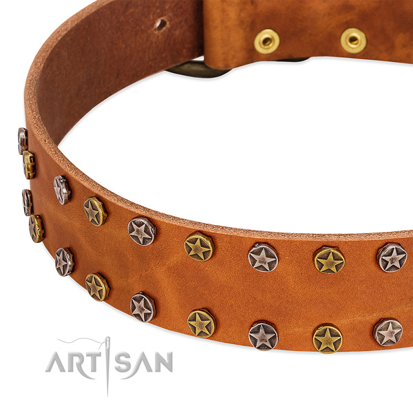 Handy use full grain leather dog collar with designer studs