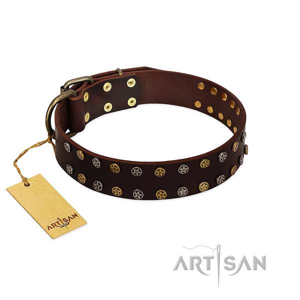 Comfortable wearing quality full grain natural leather dog collar with adornments
