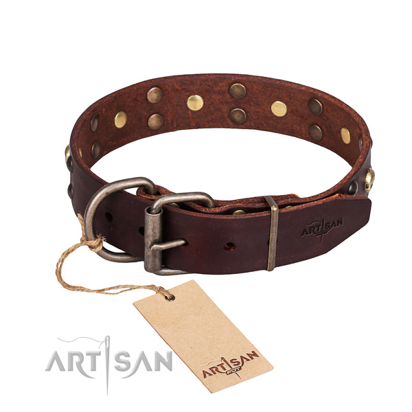 Everyday use adorned dog collar of fine quality full grain natural leather