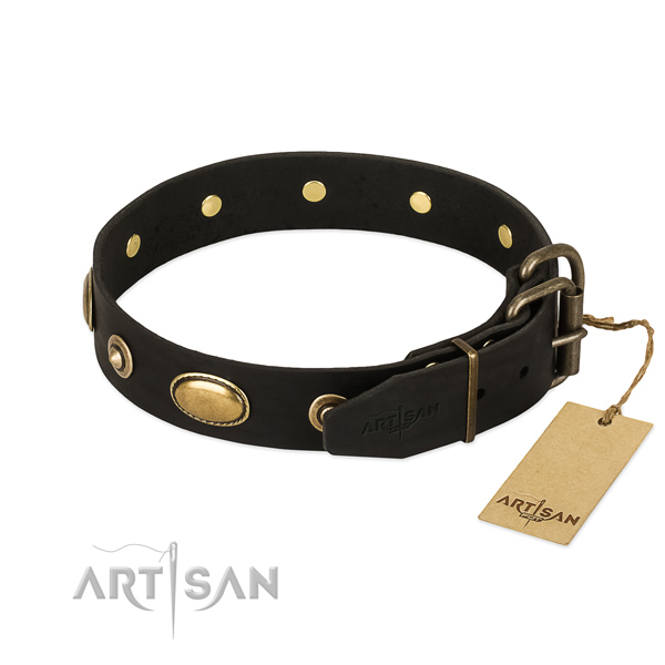 Rust-proof studs on natural leather dog collar for your canine