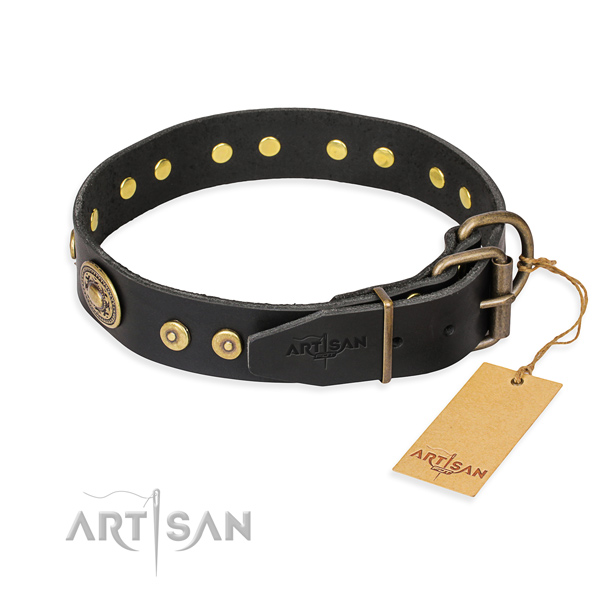 Full grain natural leather dog collar made of flexible material with strong adornments