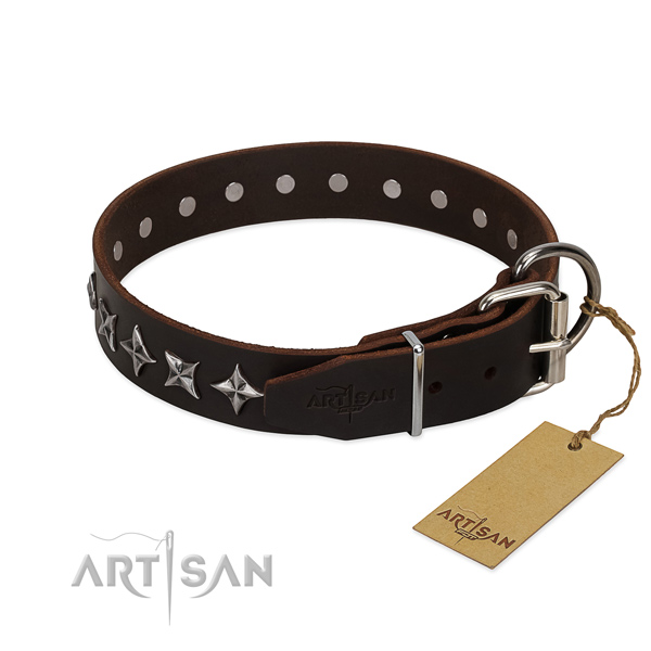 Comfortable wearing adorned dog collar of reliable full grain leather