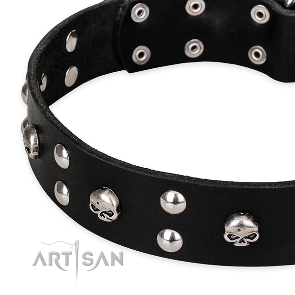 Comfy wearing adorned dog collar of top quality genuine leather