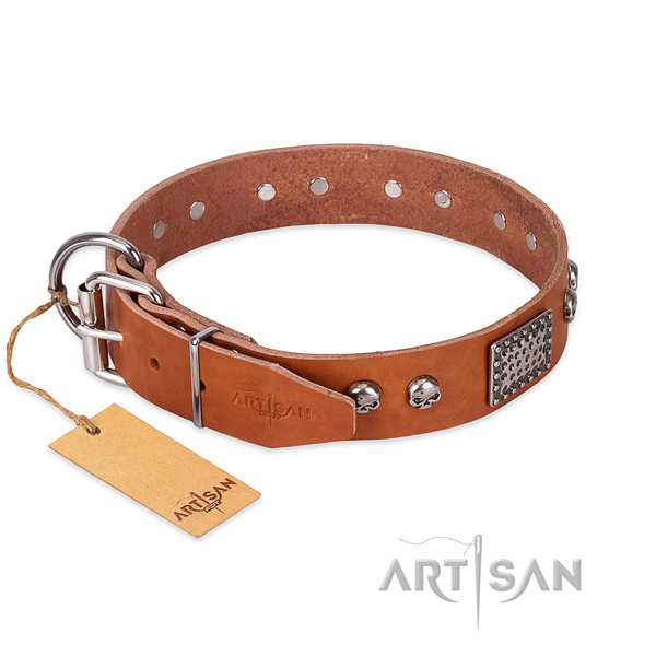 Strong adornments on daily walking dog collar