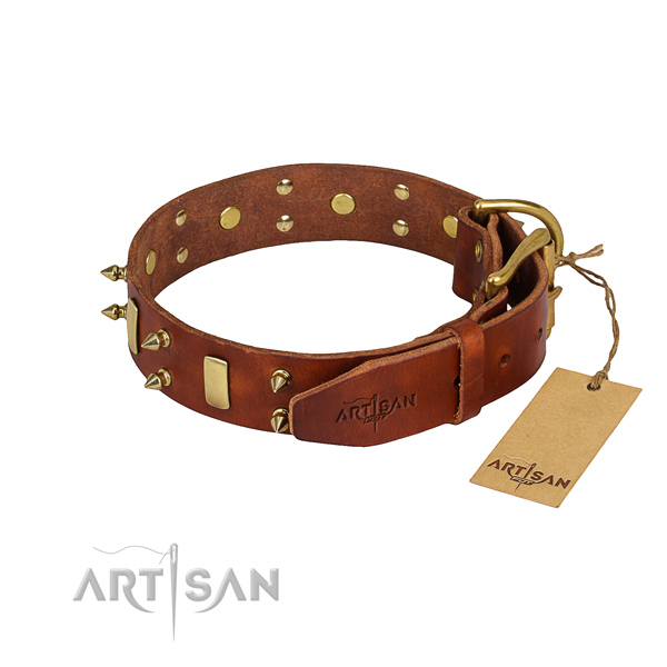 Basic training embellished dog collar of strong natural leather