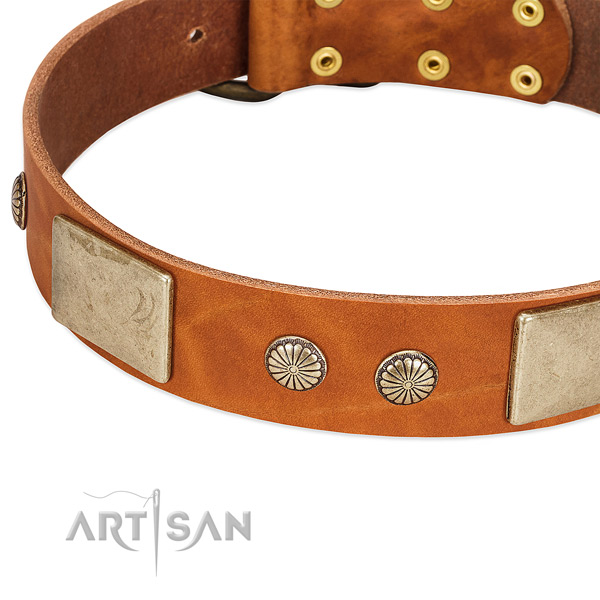 Durable studs on full grain genuine leather dog collar for your four-legged friend