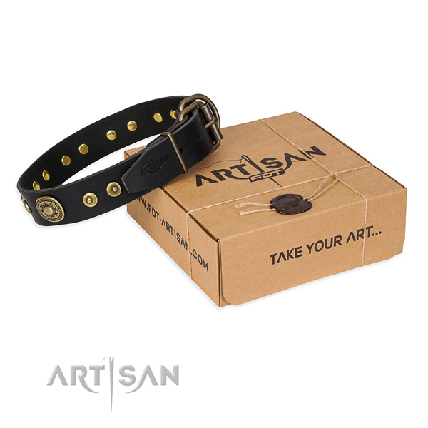 Full grain genuine leather dog collar made of soft to touch material with rust-proof traditional buckle