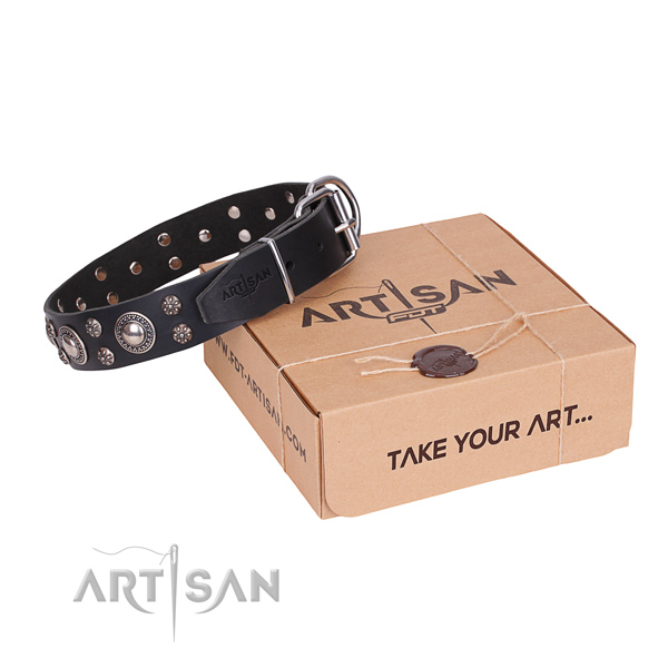 Fancy walking dog collar of best quality full grain genuine leather with studs