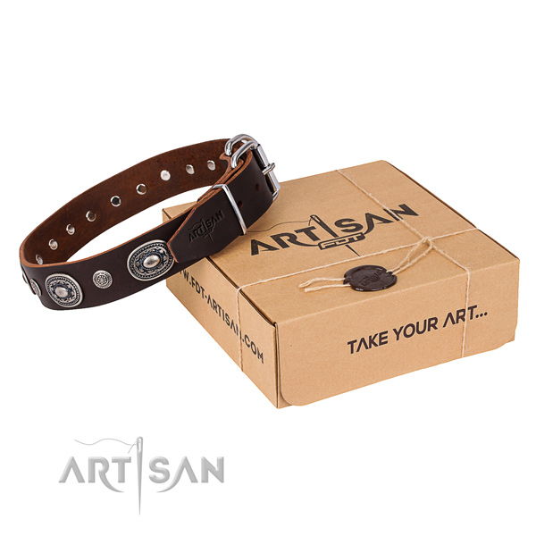 Durable genuine leather dog collar handcrafted for everyday walking