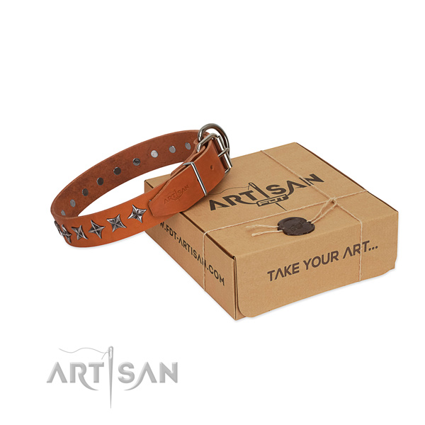 Best quality full grain natural leather dog collar with inimitable studs