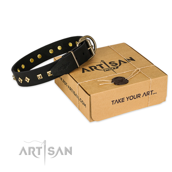 Rust resistant buckle on genuine leather collar for your stylish canine