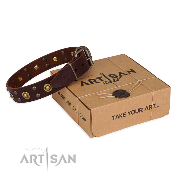 Reliable hardware on genuine leather collar for your lovely pet