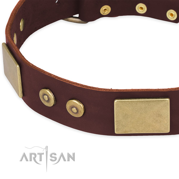 Full grain leather dog collar with studs for everyday use