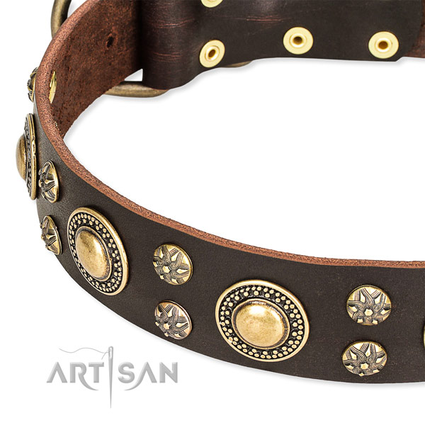 Easy wearing adorned dog collar of top quality full grain leather