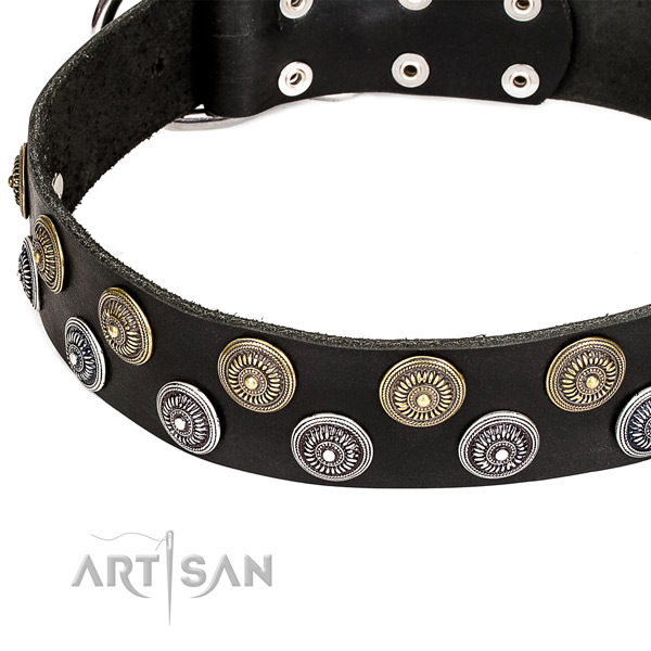 Fancy walking adorned dog collar of reliable full grain leather