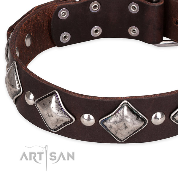 Fancy walking decorated dog collar of strong full grain natural leather