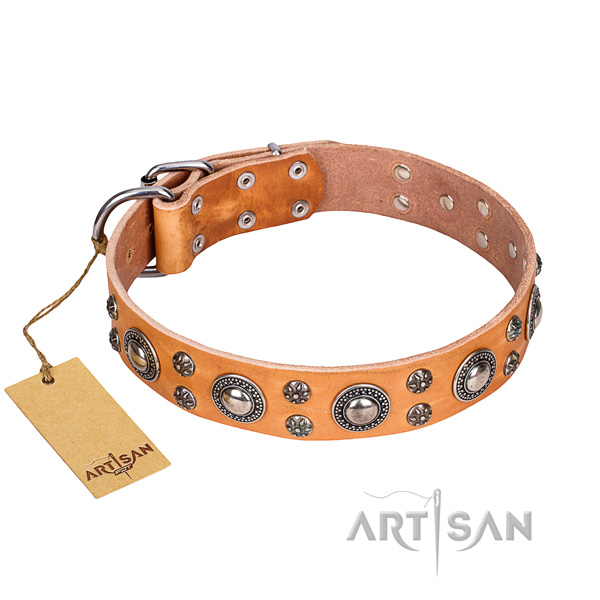Daily walking dog collar of high quality natural leather with decorations