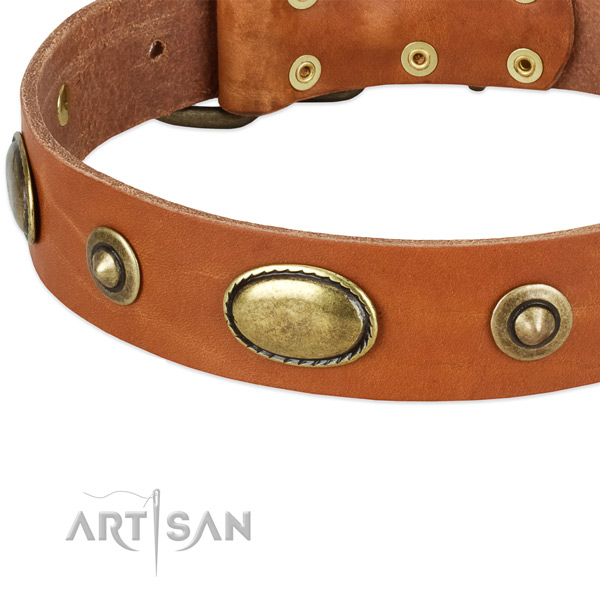 Reliable embellishments on natural leather dog collar for your dog