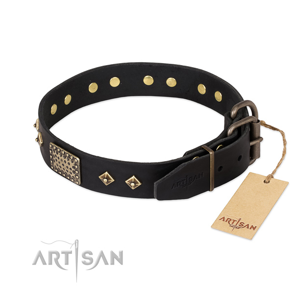 Leather dog collar with strong D-ring and embellishments