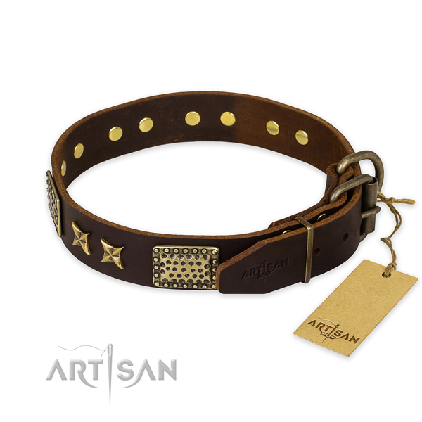 Strong traditional buckle on genuine leather collar for your beautiful canine
