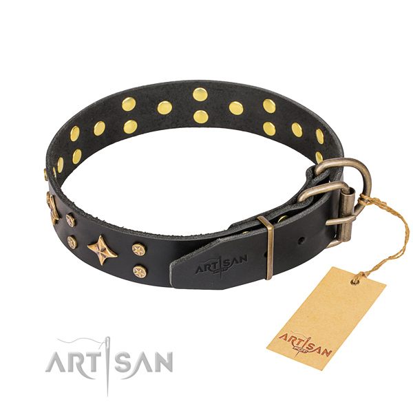 Fancy walking embellished dog collar of top quality full grain genuine leather