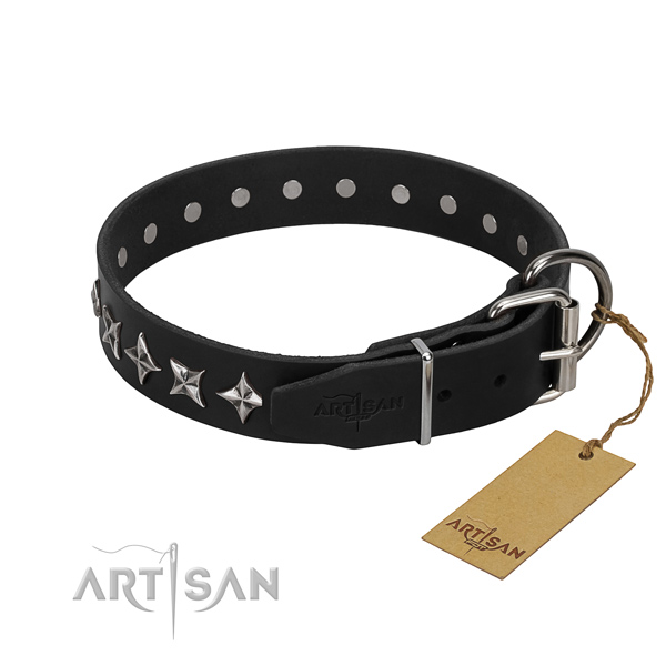 Basic training studded dog collar of durable full grain genuine leather