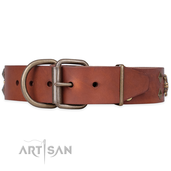 Daily walking decorated dog collar of strong full grain genuine leather