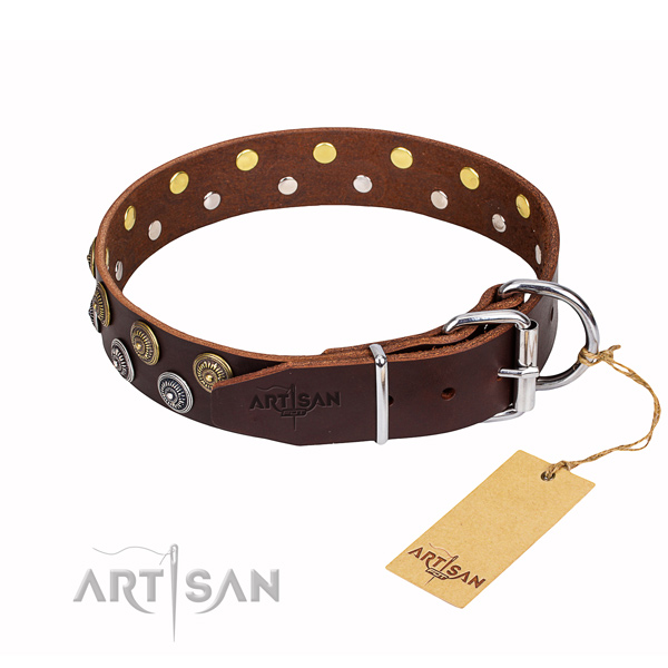 Daily use studded dog collar of reliable full grain leather