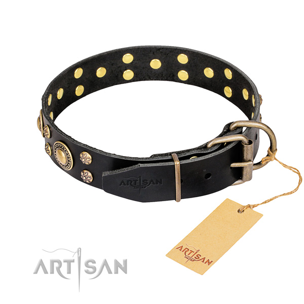 Basic training adorned dog collar of high quality natural leather