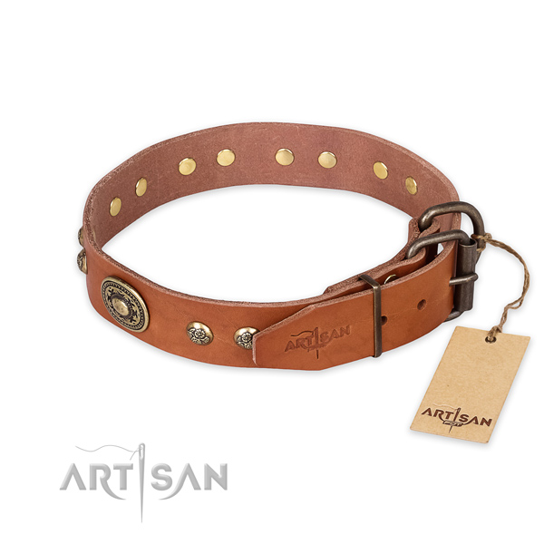 Rust-proof D-ring on full grain natural leather collar for daily walking your doggie