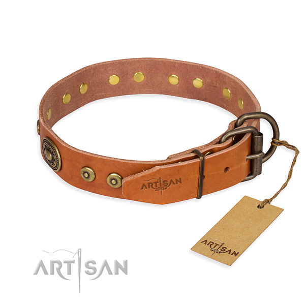 Full grain leather dog collar made of top rate material with corrosion resistant embellishments
