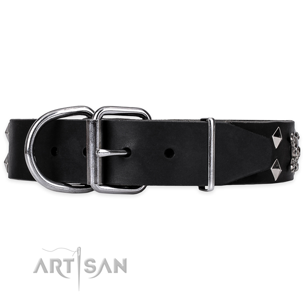 Walking decorated dog collar of quality leather