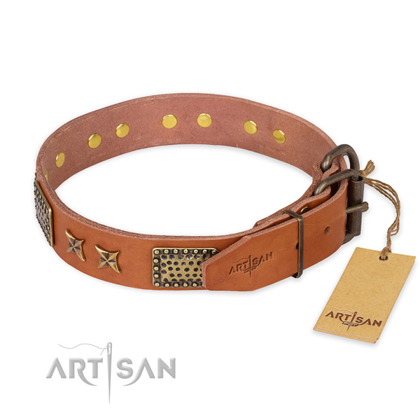 Rust-proof buckle on full grain leather collar for your stylish canine