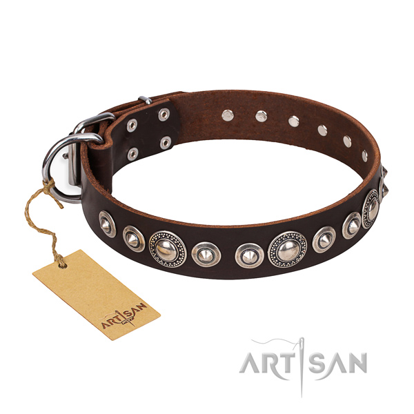 Reliable embellished dog collar of full grain leather