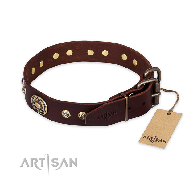 Corrosion proof traditional buckle on natural leather collar for daily walking your doggie