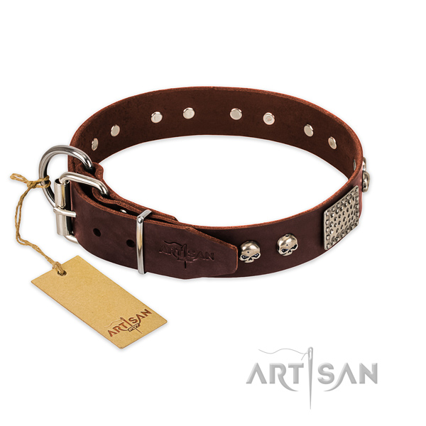 Reliable adornments on everyday use dog collar