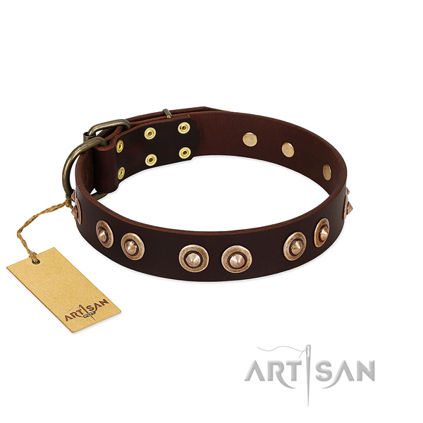 Rust-proof hardware on leather dog collar for your four-legged friend