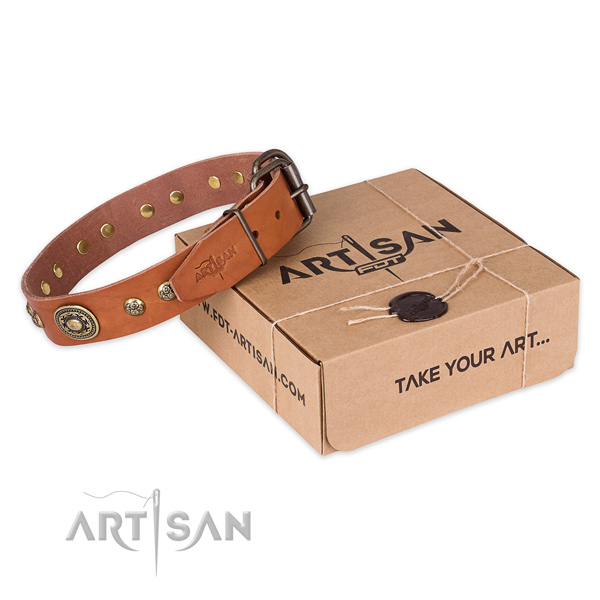 Rust-proof buckle on full grain natural leather dog collar for everyday use
