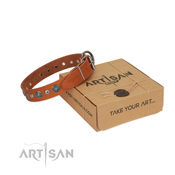 Genuine leather collar with reliable buckle for your attractive canine