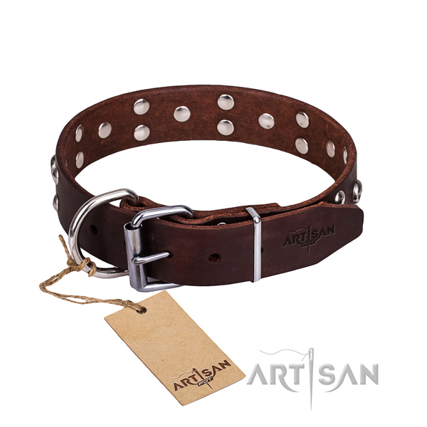 Basic training dog collar of finest quality full grain leather with studs