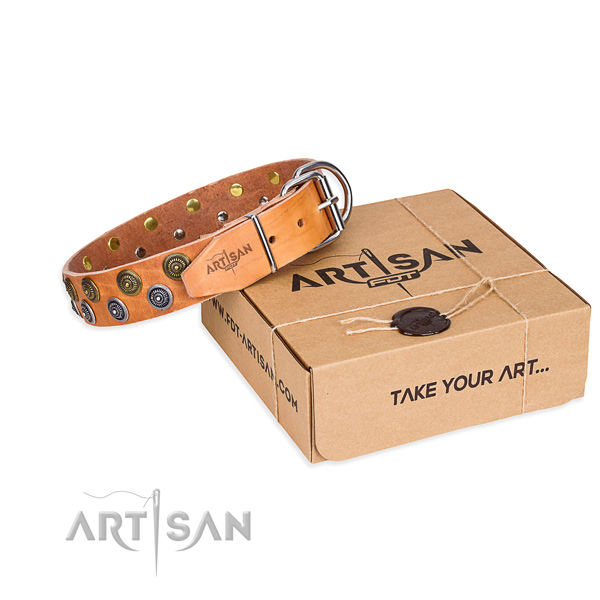 Walking dog collar of reliable natural leather with embellishments
