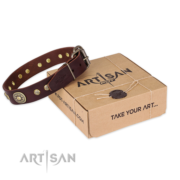 Corrosion resistant fittings on full grain genuine leather dog collar for fancy walking