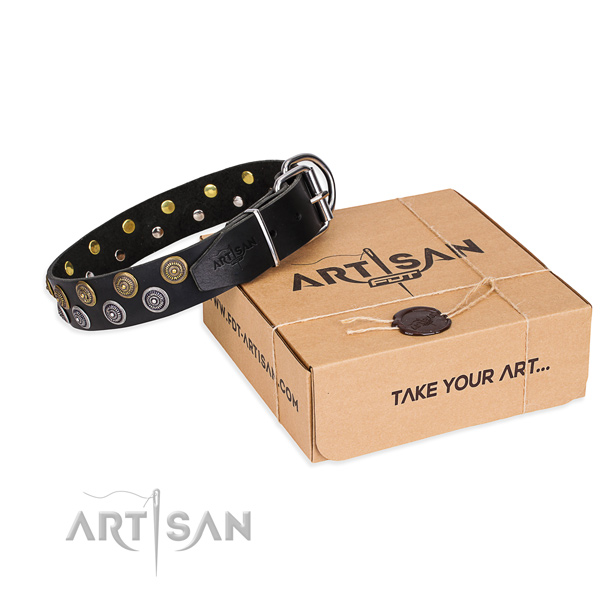 Everyday use dog collar of fine quality genuine leather with decorations