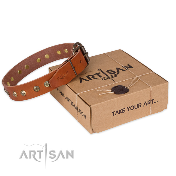 Rust-proof hardware on natural genuine leather collar for your stylish pet