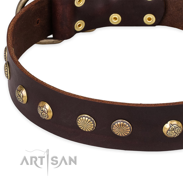 Natural genuine leather collar with strong D-ring for your stylish dog