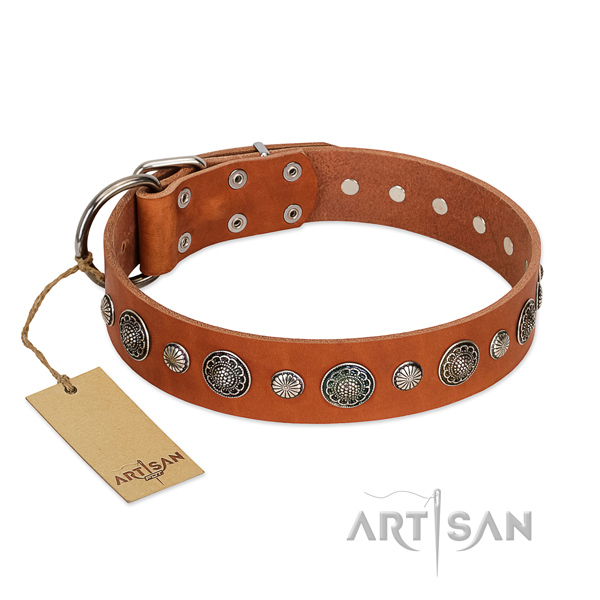 Top rate Full grain natural leather dog collar with rust-proof fittings